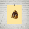 Deyana Deco - BUTTERFLY Poster 12x16