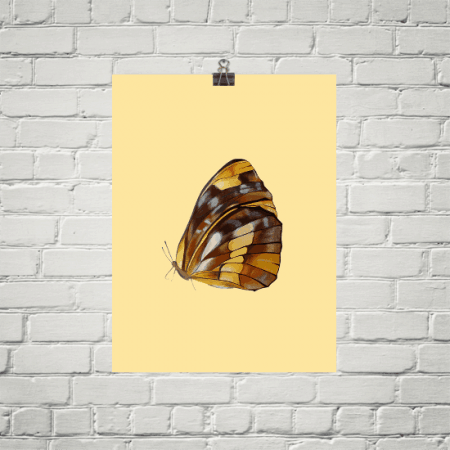 Deyana Deco - BUTTERFLY Poster 12x16